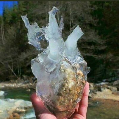 yx57HsM3PiPaLz4's profile picture. 自然をフィールドに