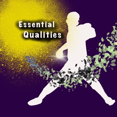 (株) Essential Qualities 代表 、広島広陵高メカニクストレーナー⚾️個別セッション(投球・打撃) の予約はインスタから🧠【身体の構造から考える】 オンラインサロン運営 📲Instagramがメイン 📝経歴:広島広陵高→同志社大(準硬St.joe🇺🇸→BC茨城🇯🇵→🇩🇴→香川→引退