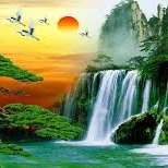 HxhueJ's profile picture. #zkApes