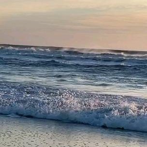 hitmaan2022's profile picture. Hi