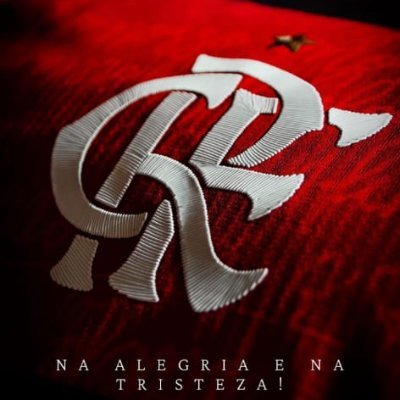 Flamengo, fã de séries, Pearl Jam, cerveja, lasanha.
