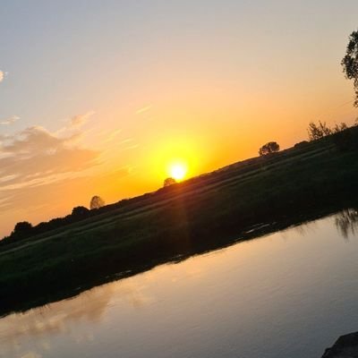 Pandarino_xx's profile picture. 