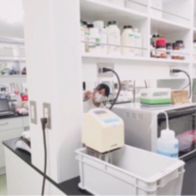Nagoya Institute of Technology / D1 / Katayama lab / Spectroscopy / Animal Rhodopsin 🪼 / GPCR / The Society of Young Scientist in Biophysics