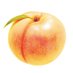 Lisa P (@smyrnapeach) Twitter profile photo Lisa P (@smyrnapeach) Twitter profile photo