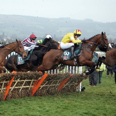 Horse Racing Tips and chat about UK and Irish horse racing