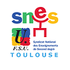 SNES_toulouse Profile Picture