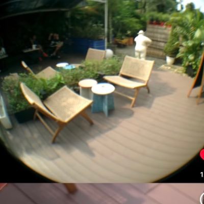 hibokiki's profile picture. 