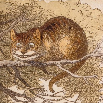 In that direction, the Cat said, waving its right paw round, lives a Flannel Man: and in that direction, waving the other paw, live the Jewels of Ari