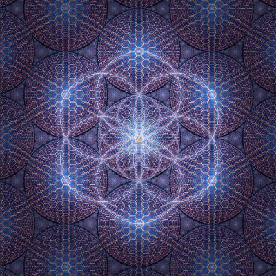 Synchronicyty's profile picture. A connecting principle