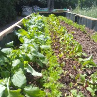 soup4lunchgarden (@soup4lunchgdn1) 's Twitter Profile