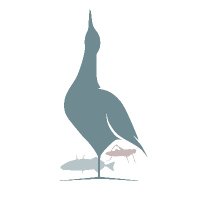 Behavioural Ecology Lab (UVigo) (@lab_ecology) 's Twitter Profile
