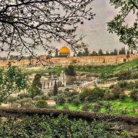 عبدالله العمري (@abd200099) 's Twitter Profile