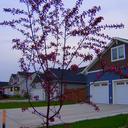 Carrie Anne Platt - @carrieanneplatt - Twitter