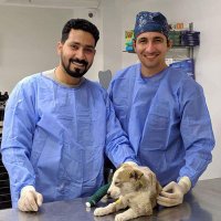 Dr.Hendawy (@drhendawy3) Twitter profile photo