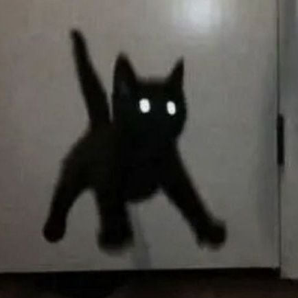 wtfsillyyyyy's profile picture. screaming while doing her artworks.