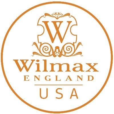 WilmaxUsa Profile Picture