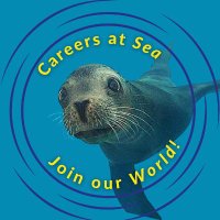 SeaWorld CA Jobs(@SeaWorldCAJobs) 's Twitter Profile Photo