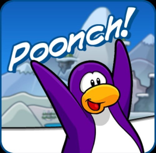 iPoonchee's profile picture. Hey! This is @PooncheeCP's BackUp Account. I tend to tweet A LOT so if I ever hit tweet limit I will tweet from here :) #ClubPenguinWriters
