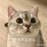 David1china's profile picture. 上推优先聚焦赚钱炒股，间或看看美女和其他有趣事情