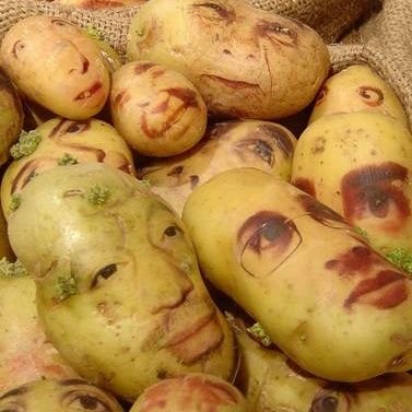 aliz_countdown's profile picture. 