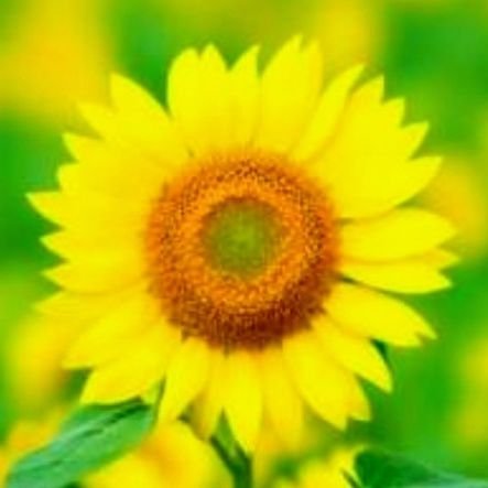 May344424's profile picture. 推しは二宮和也さん🌟 
「優しい時間」2005年からずっと静かに熱く応援しています🥹https://t.co/T1B391jT6P

🚘️と映画とドラマと🇯🇵と欧州台湾が好き♡
国内外の見たドラマ映画番組を呟いてます😊
タグ付け感想の華ドラのみ視聴作品名を固定に📝