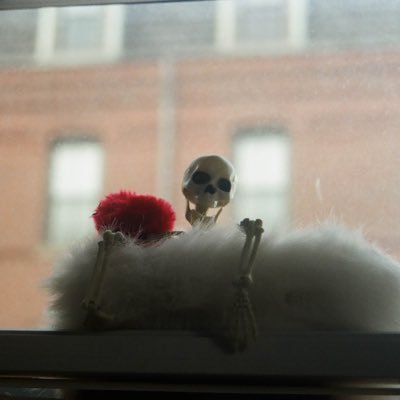 bobertoyin's profile picture. he/him