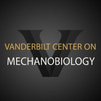 Vanderbilt Center on Mechanobiology (@thevcom) 's Twitter Profile