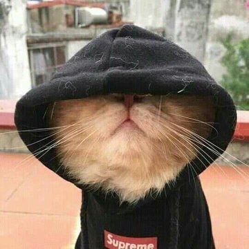 DataAnalytics | Chemical Engineer/ Medical Researcher | Arsenal | Convener ~ #DataMonks_Community | Non-Comformist | techmonky2k@gmail.com 👨💻💻💻💻