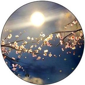 لاحول ولاقوة الا بالله 🌸😇