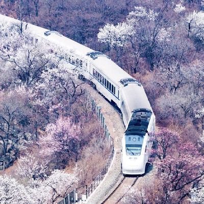 o_n46l's profile picture. من سابع المستحيلات، الى واقع نعيشه .