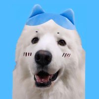 陸とソラ (@gugaknp) 's Twitter Profile