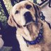 Jeremy Varhola (@jeremyvarhola63) Twitter profile photo Jeremy Varhola (@jeremyvarhola63) Twitter profile photo
