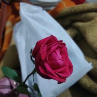 Itsme Tiwari (@tiwari_itsme) 's Twitter Profile