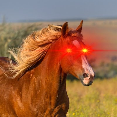 SpanishCabllo's profile picture. I make videos on Youtube.