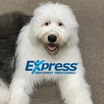 (510) 662-5100 Express in Richmond helps Employers and Job Seekers find the right match!