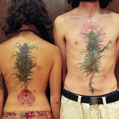 rotbee11's profile picture. Real