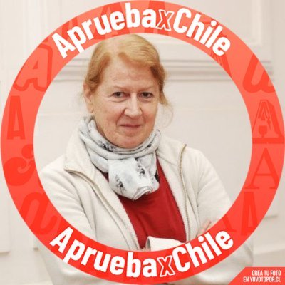 Ecologista y Directora de @chilesust Quiero un país justo, democrático que proteja la naturaleza y sus ciclos vitales 💚🌱