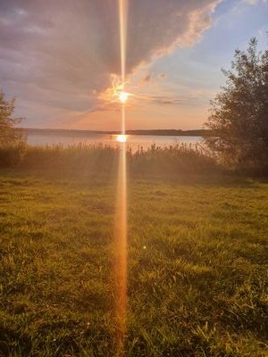 asaadhamouda88's profile picture. 