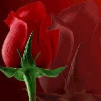 Gaby Rodriguez (@gaby201187) 's Twitter Profile