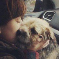 YvMcL 🦊 (@yvmcl) 's Twitter Profile