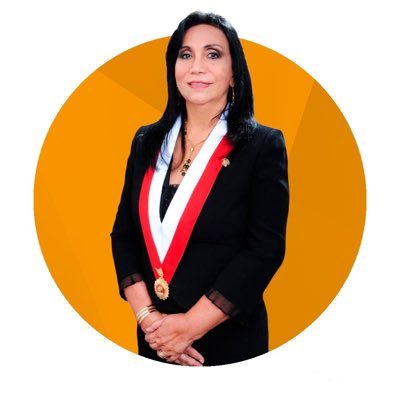Congresista de la República, representante de la Región Callao 2021 - 2026