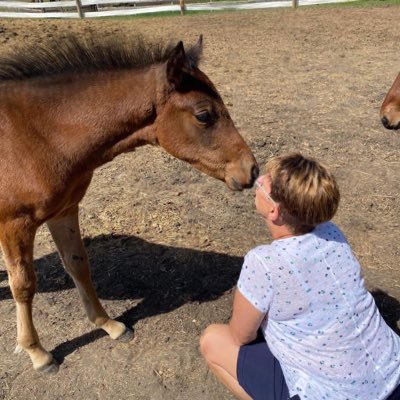 passionate about my family, harness racing, and the Liberal governments war on seniors in Canada.