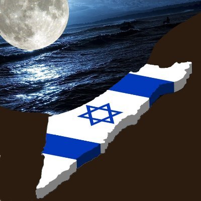 moonlig60717331's profile picture. 