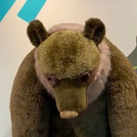 経口補水液 (@klis_intsukuba) 's Twitter Profile