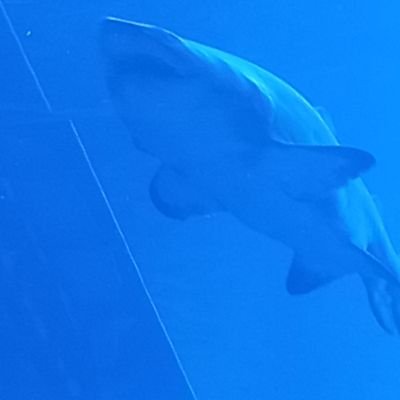 maazali34_mm's profile picture. Crypto is nothing but everything in future