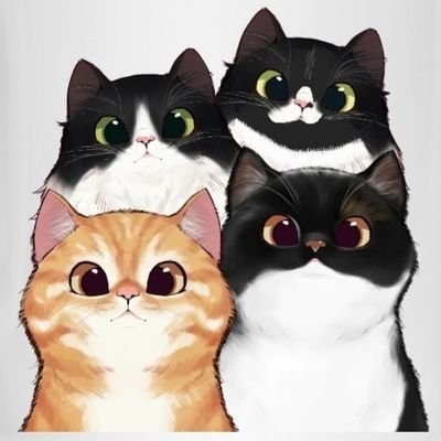 Halloween Cute Cat Profile