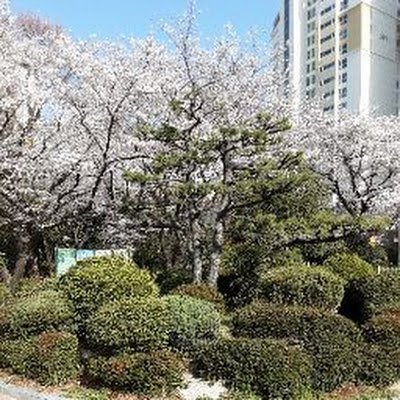 야구와 축구를 잘한다.