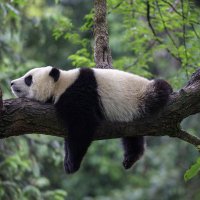 Xueli Huo (@huoxueli) 's Twitter Profile Photo Xueli Huo (@huoxueli) 's Twitter Profile Photo