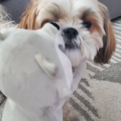 lovelyy_fatou's profile picture. 