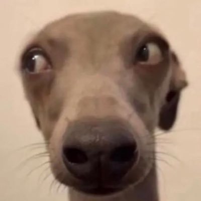 flavourednoodle's profile picture. 